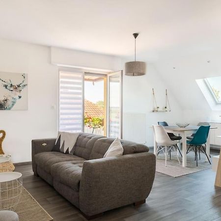 Appartement Climatise 70 M2, Proximite De Colmar Sainte-Croix-en-Plaine エクステリア 写真