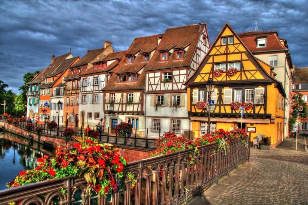 Appartement Climatise 70 M2, Proximite De Colmar Sainte-Croix-en-Plaine エクステリア 写真