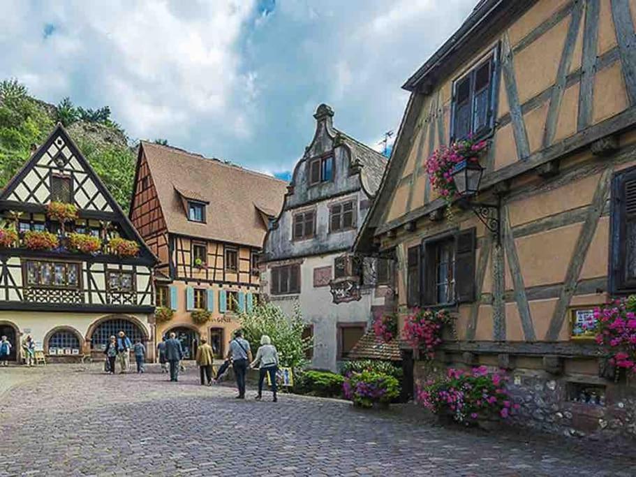 Appartement Climatise 70 M2, Proximite De Colmar Sainte-Croix-en-Plaine エクステリア 写真