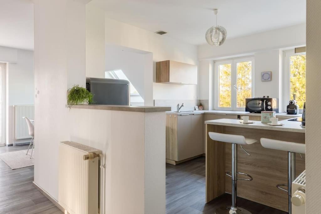 Appartement Climatise 70 M2, Proximite De Colmar Sainte-Croix-en-Plaine エクステリア 写真