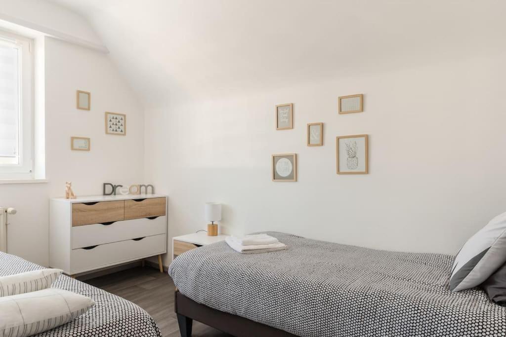 Appartement Climatise 70 M2, Proximite De Colmar Sainte-Croix-en-Plaine エクステリア 写真