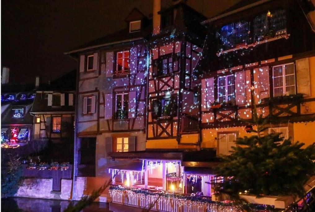 Appartement Climatise 70 M2, Proximite De Colmar Sainte-Croix-en-Plaine エクステリア 写真