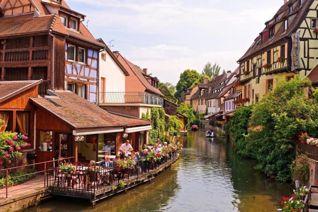 Appartement Climatise 70 M2, Proximite De Colmar Sainte-Croix-en-Plaine エクステリア 写真