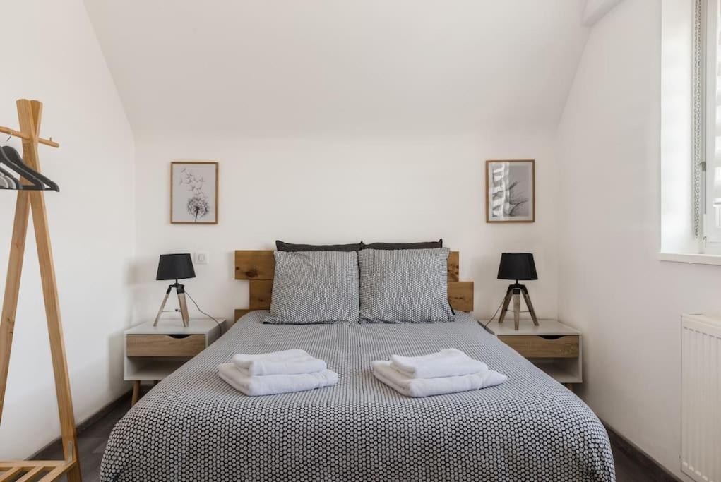 Appartement Climatise 70 M2, Proximite De Colmar Sainte-Croix-en-Plaine エクステリア 写真