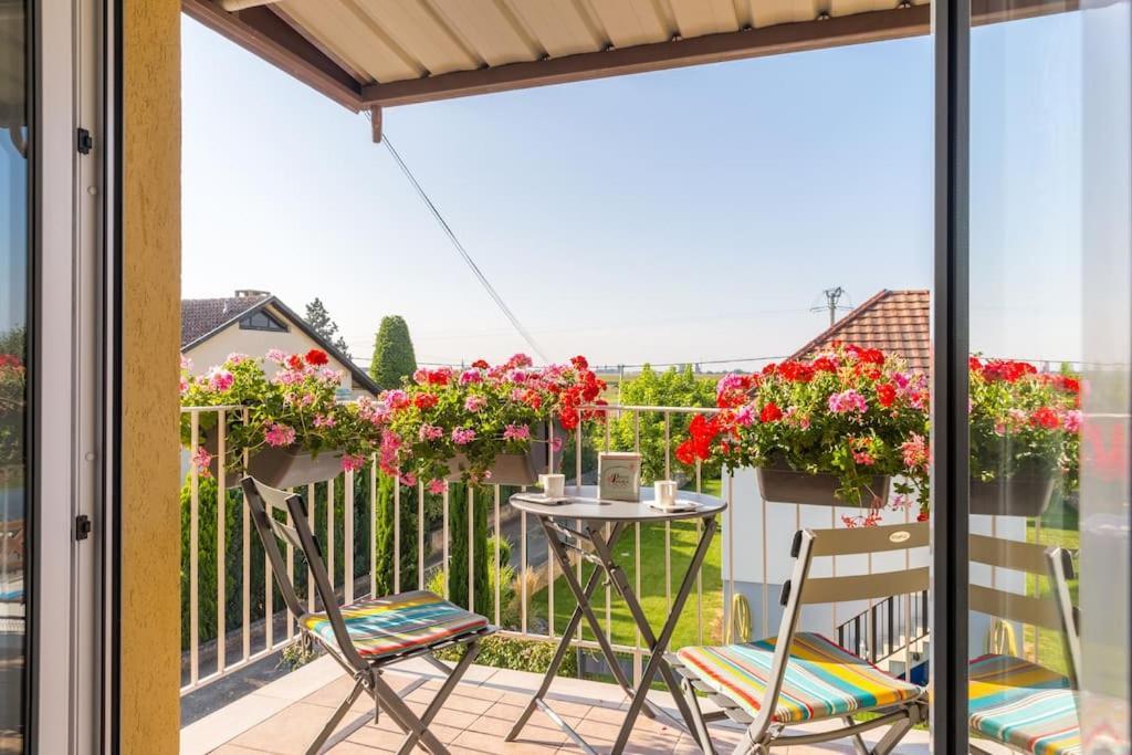 Appartement Climatise 70 M2, Proximite De Colmar Sainte-Croix-en-Plaine エクステリア 写真