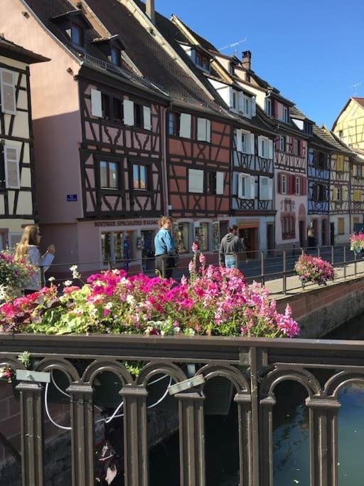 Appartement Climatise 70 M2, Proximite De Colmar Sainte-Croix-en-Plaine エクステリア 写真