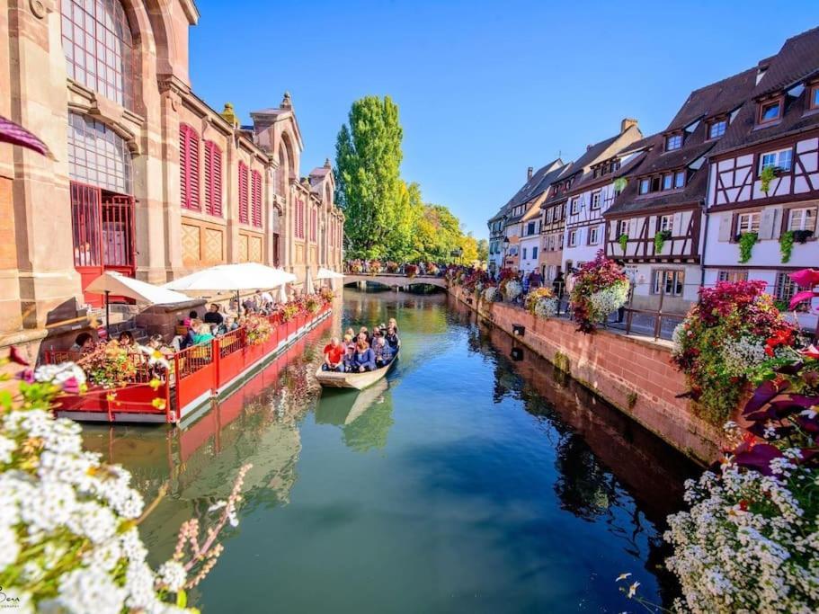 Appartement Climatise 70 M2, Proximite De Colmar Sainte-Croix-en-Plaine エクステリア 写真